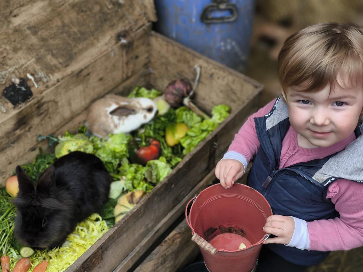 Un jeune enfant avec un seau rouge devant le coffre rempli de salades et de légumes pour les lapins