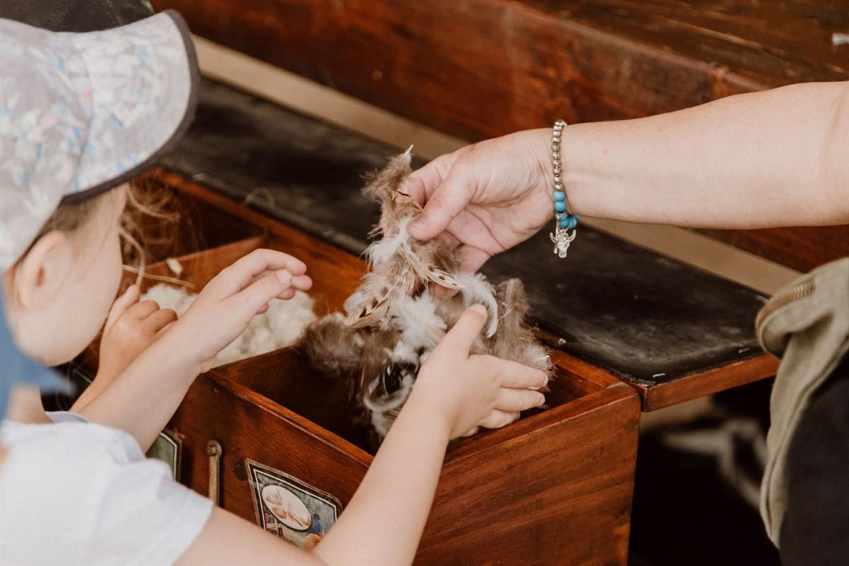 Atelier autour d'une boîte sensorielle à la ferme