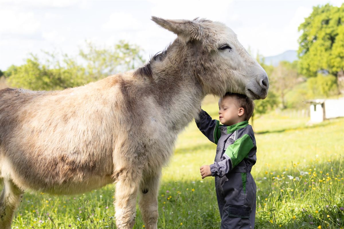 Un enfant fait un câlin à un âne devant le paysage du Vercors